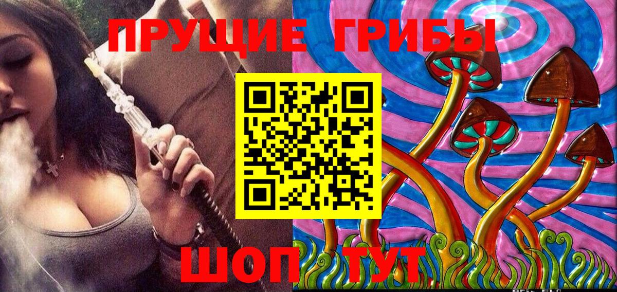 купить   Псилоцибиновые грибы Psilocybe  Вход с VPN  Губаха 